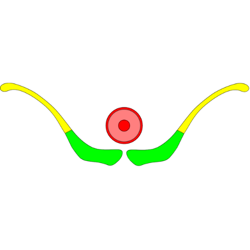 Lietuvos ritinio sporto federacija Lietuvos ritinio sporto federacija